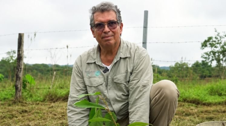 Minambiente Fabio Arjona sembrando un árbol